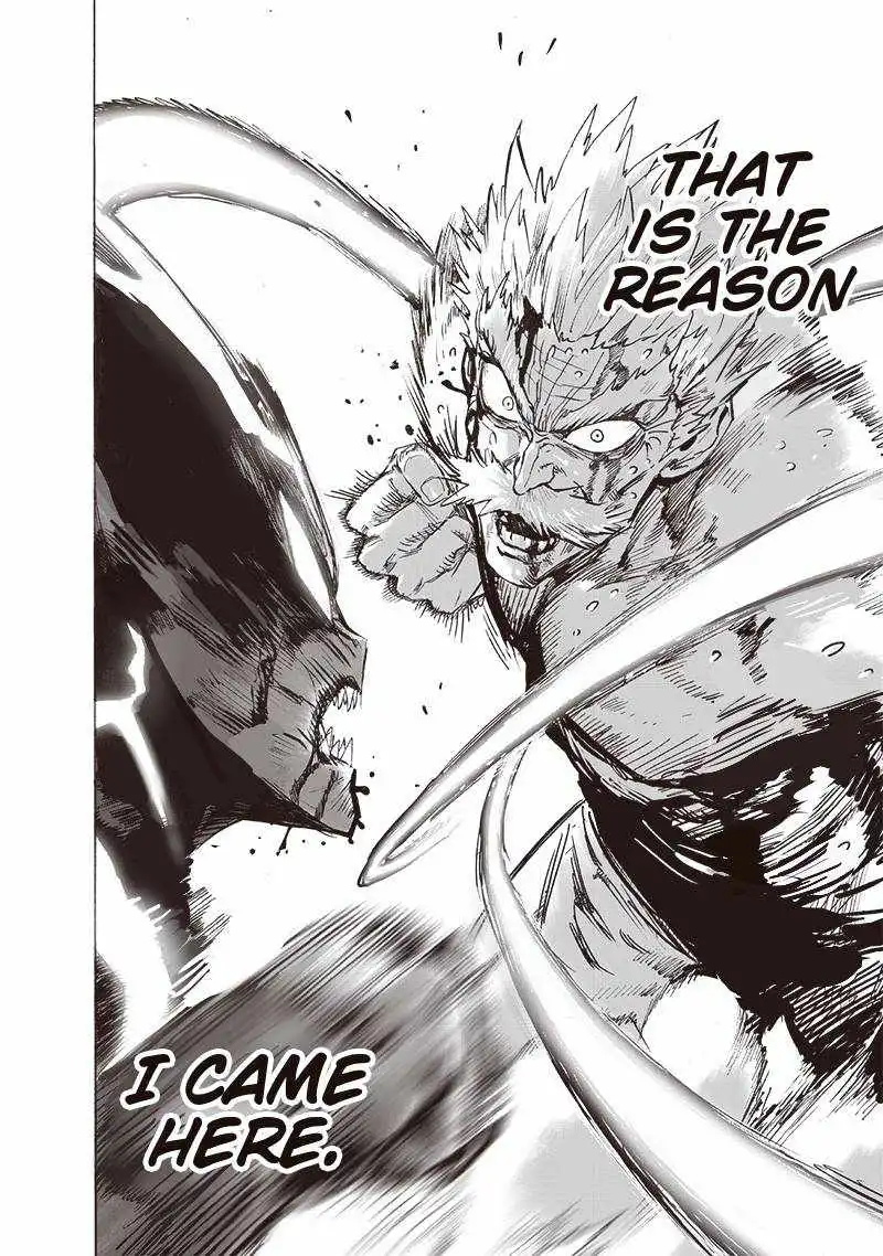 One-Punch Man Chapter 153 19